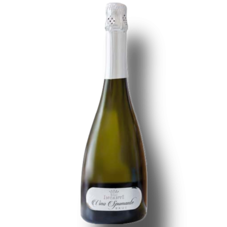 Spumante Brut Incanti 75 Cl