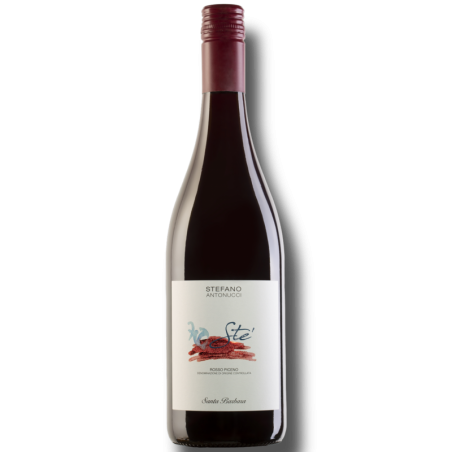 Stè Rosso Piceno DOC Stefano Antonucci 75 Cl