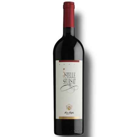 Sfursat 5 Stelle Sforzato di Valtellina DOCG 2018 Nino Negri 75 Cl