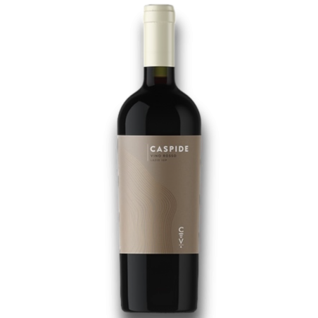 Caspide Vino Rosso IGP Lazio Casale Vallechiesa Winery 75 Cl